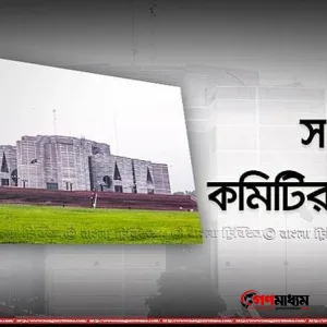 কনস্যুলার কর্মকর্তাদের গাফিলতি পাওয়া গেলে কমিটিকে জানানোর সুপারিশ