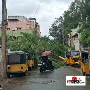 ‘অর্ণব’-এর তাণ্ডবে লন্ডভন্ড অন্ধ্রপ্রদেশ, প্রাণ গেলো ৫ জনের