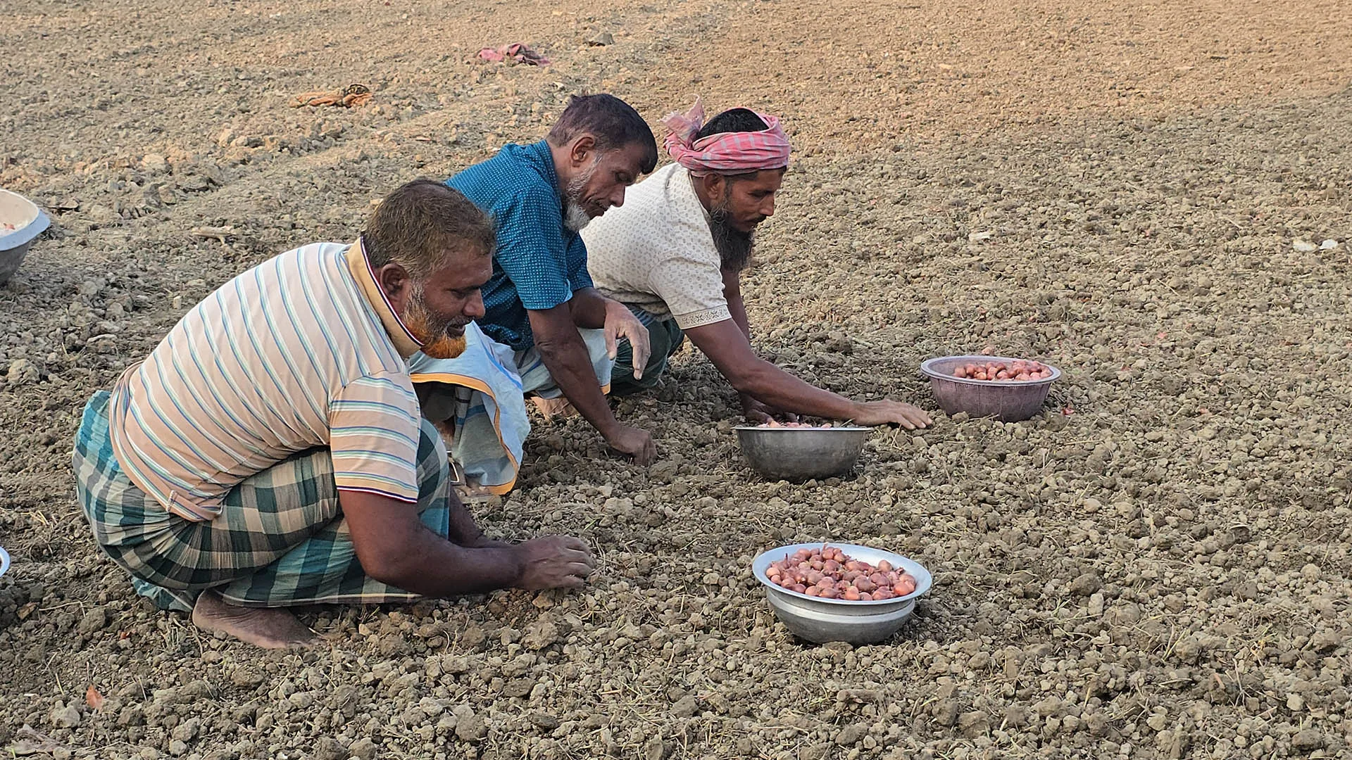 ১ হাজার ৫০ টাকার সার ১৬০০ টাকায় মিলছে না, অনিশ্চয়তায় পেঁয়াজ চাষ
