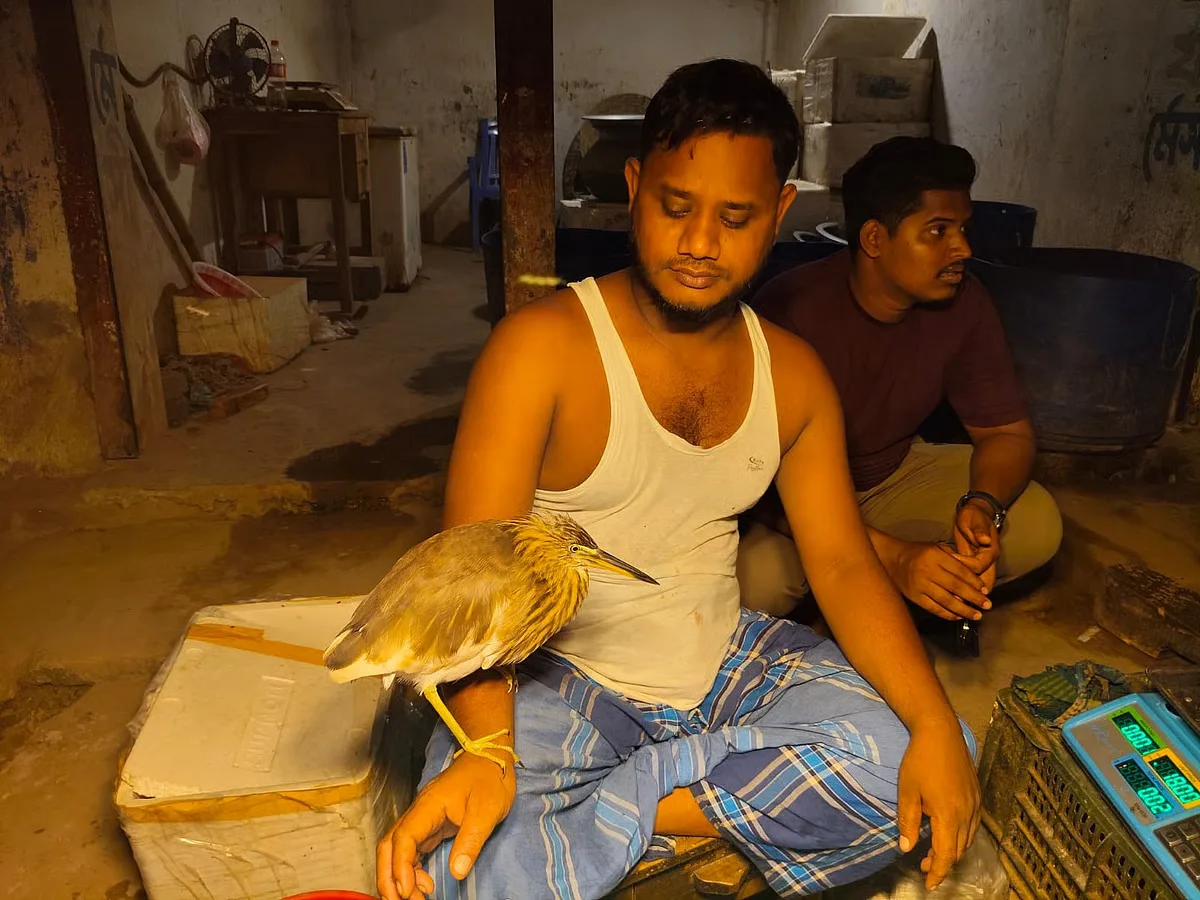 কুড়িয়ে পাওয়া বকটি জসিমের মায়ায় ফিরে আসে বারবার
