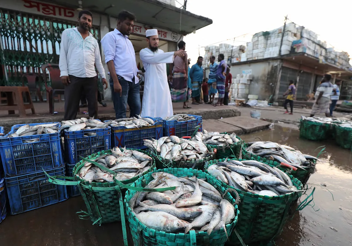নিষেধাজ্ঞা শেষে ফিশারিঘাটে ফিরেছে ইলিশ