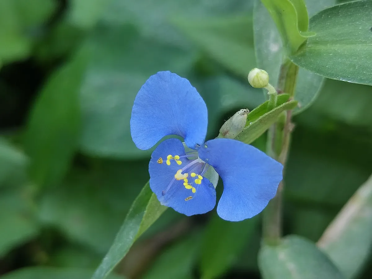 একঝলক (৩১ অক্টোবর ২০২৬)